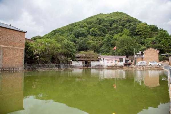 浦发银行：金融活水润泽滇南乡村，助推绿色富民